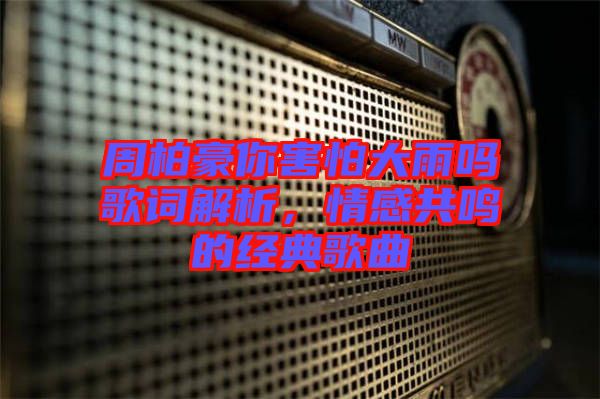 周柏豪你害怕大雨嗎歌詞解析，情感共鳴的經(jīng)典歌曲