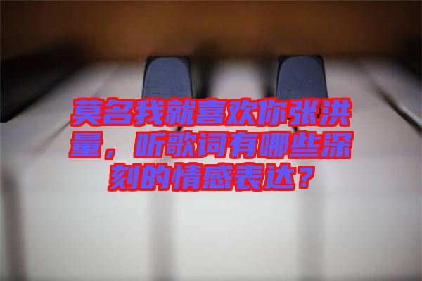 莫名我就喜歡你張洪量，聽歌詞有哪些深刻的情感表達(dá)？