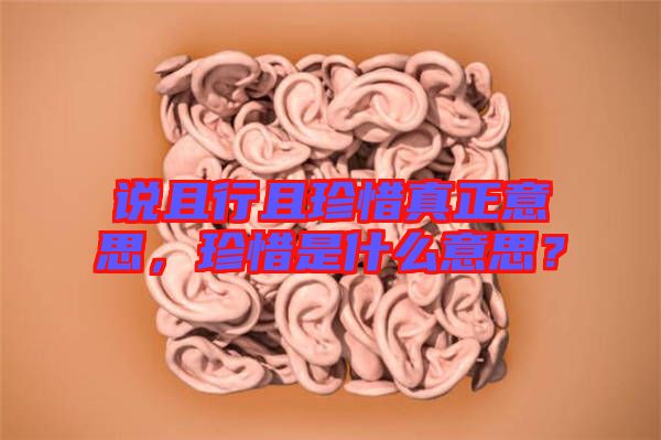 說且行且珍惜真正意思，珍惜是什么意思？