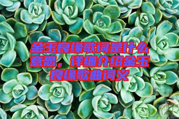 金玉良緣歌詞是什么意思，詳細介紹金玉良緣歌曲詞義