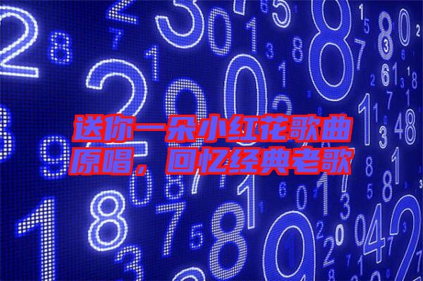 送你一朵小紅花歌曲原唱，回憶經(jīng)典老歌