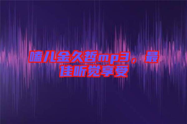 嗑兒金久哲mp3，最佳聽覺享受