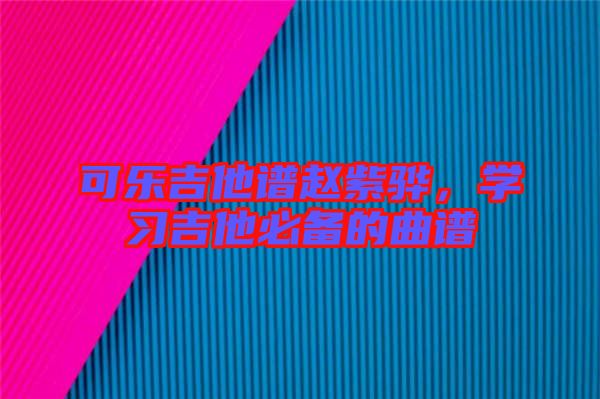 可樂吉他譜趙紫驊，學(xué)習吉他必備的曲譜