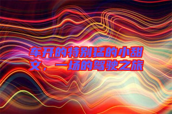 車開的特別猛的小甜文，一場的駕駛之旅