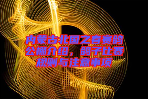 內(nèi)蒙古北國之春賽鴿公棚介紹，鴿子比賽規(guī)則與注意事項