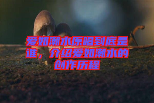 愛如潮水原唱到底是誰(shuí)，介紹愛如潮水的創(chuàng)作歷程
