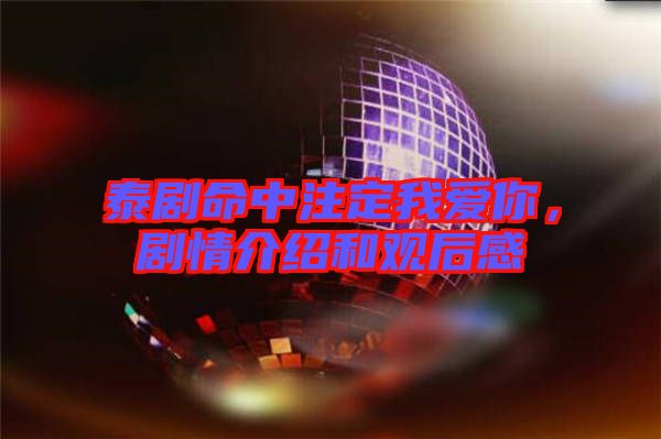 泰劇命中注定我愛你，劇情介紹和觀后感