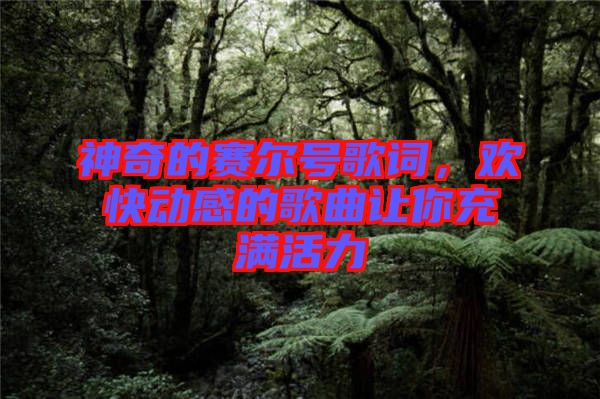 神奇的賽爾號歌詞，歡快動感的歌曲讓你充滿活力