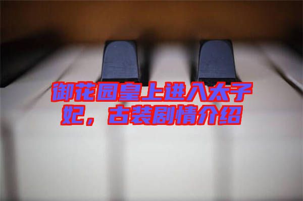 御花園皇上進(jìn)入太子妃，古裝劇情介紹