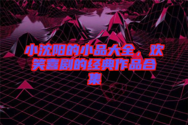 小沈陽的小品大全，歡笑喜劇的經(jīng)典作品合集