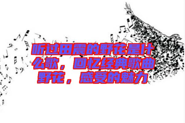 聽過田震的野花是什么歌，回憶經(jīng)典歌曲野花，感受的魅力