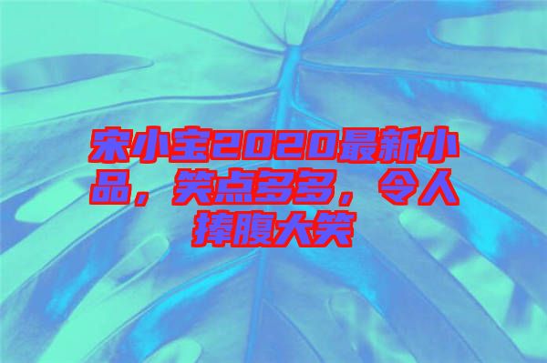 宋小寶2020最新小品，笑點(diǎn)多多，令人捧腹大笑
