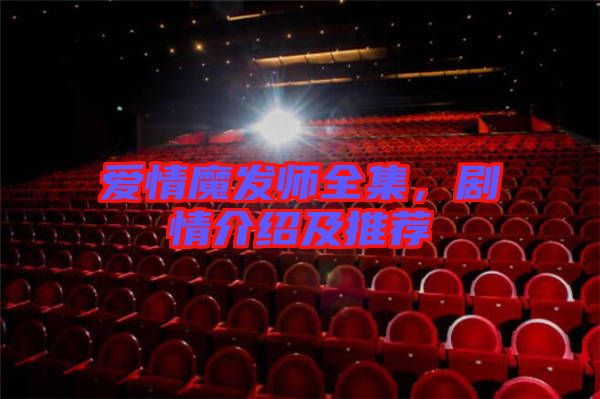 愛情魔發(fā)師全集，劇情介紹及推薦