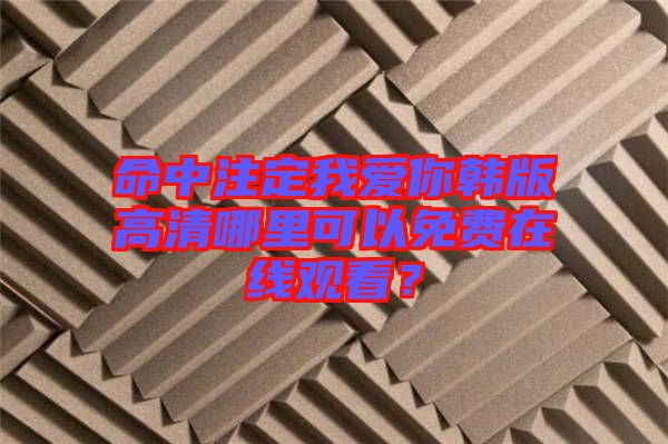 命中注定我愛(ài)你韓版高清哪里可以免費(fèi)在線觀看？