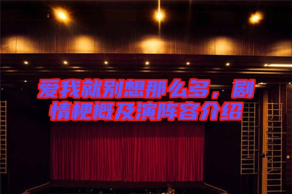 愛我就別想那么多，劇情梗概及演陣容介紹