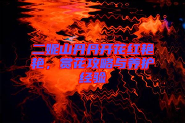 二妮山丹丹開花紅艷艷，賞花攻略與養(yǎng)護(hù)經(jīng)驗(yàn)