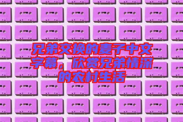 兄弟交換的麥子中文字幕，欣賞兄弟情深的農(nóng)村生活