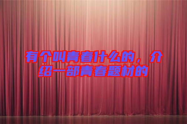 有個(gè)叫青春什么的，介紹一部青春題材的