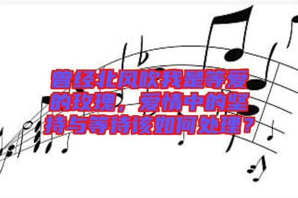 曾經(jīng)北風(fēng)吹我是等愛的玫瑰，愛情中的堅(jiān)持與等待該如何處理？