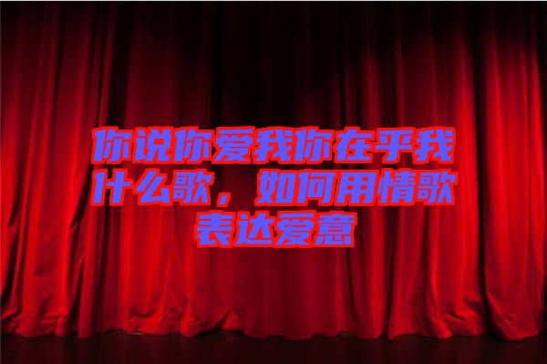 你說你愛我你在乎我什么歌，如何用情歌表達(dá)愛意