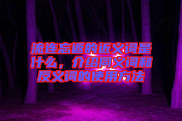流連忘返的近義詞是什么，介紹同義詞和反義詞的使用方法