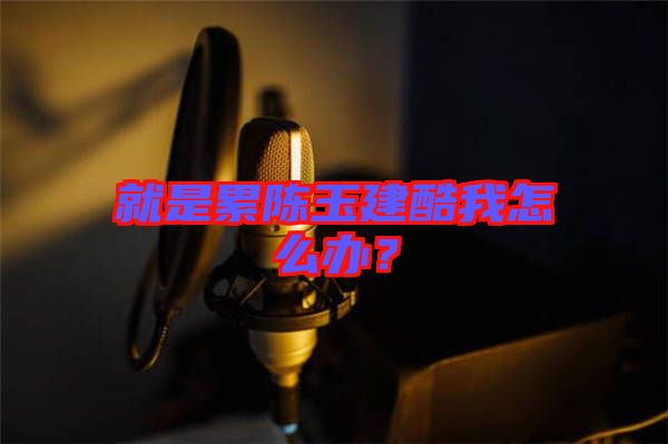 就是累陳玉建酷我怎么辦？
