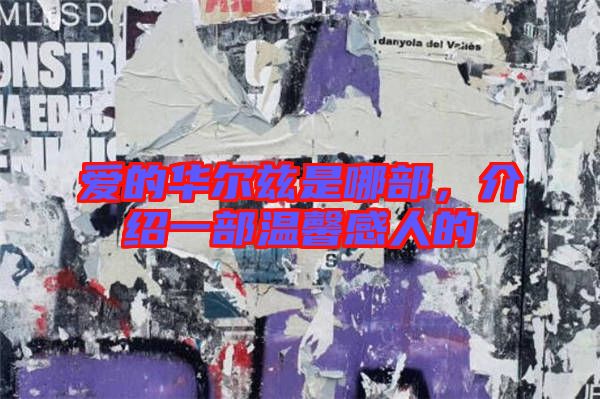 愛(ài)的華爾茲是哪部，介紹一部溫馨感人的