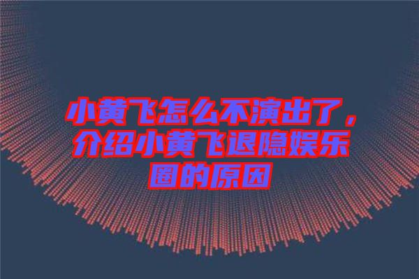 小黃飛怎么不演出了，介紹小黃飛退隱娛樂圈的原因
