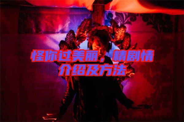 怪你過美麗，精劇情介紹及方法