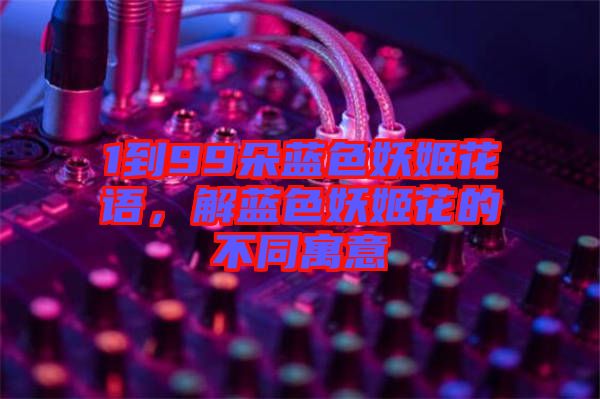 1到99朵藍色妖姬花語，解藍色妖姬花的不同寓意