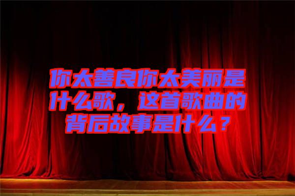 你太善良你太美麗是什么歌，這首歌曲的背后故事是什么？