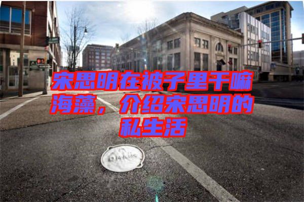 宋思明在被子里干嘛海藻，介紹宋思明的私生活