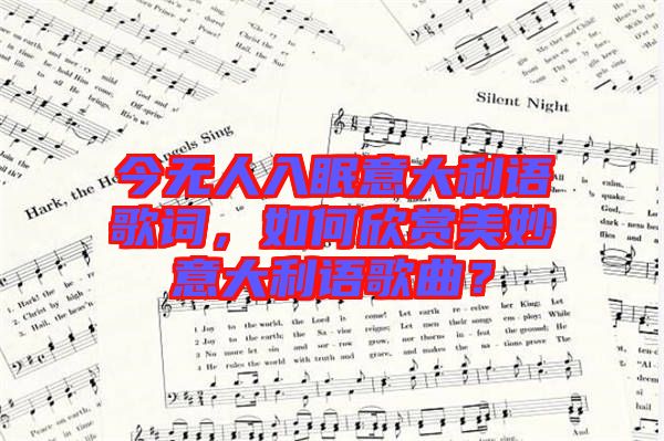 今無(wú)人入眠意大利語(yǔ)歌詞，如何欣賞美妙意大利語(yǔ)歌曲？