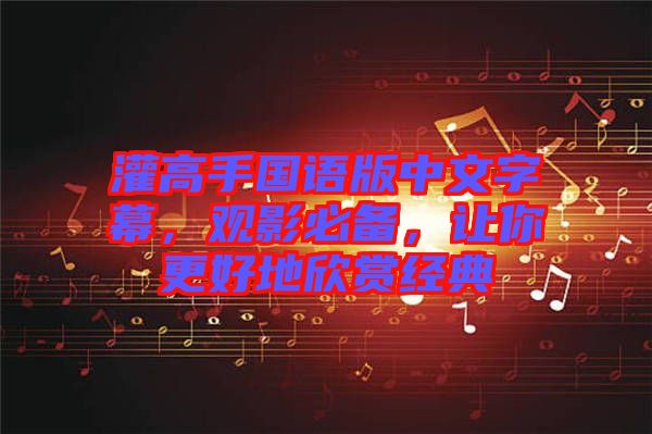 灌高手國(guó)語(yǔ)版中文字幕，觀影必備，讓你更好地欣賞經(jīng)典