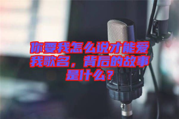 你要我怎么說(shuō)才能愛(ài)我歌名，背后的故事是什么？
