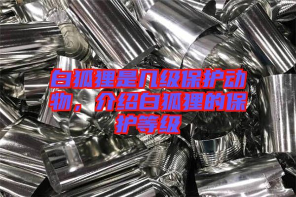 白狐貍是幾級(jí)保護(hù)動(dòng)物，介紹白狐貍的保護(hù)等級(jí)