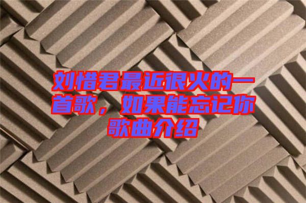 劉惜君最近很火的一首歌，如果能忘記你歌曲介紹