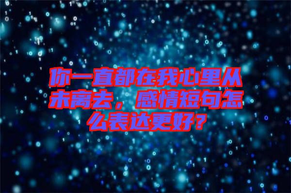 你一直都在我心里從未離去，感情短句怎么表達更好？