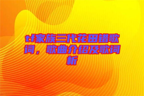 tf家族三代花田錯歌詞，歌曲介紹及歌詞析