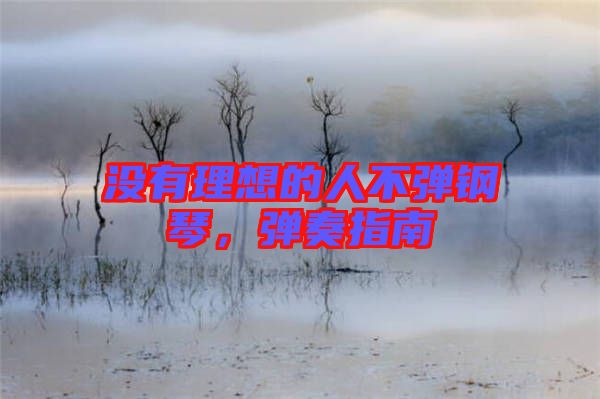 沒有理想的人不彈鋼琴，彈奏指南