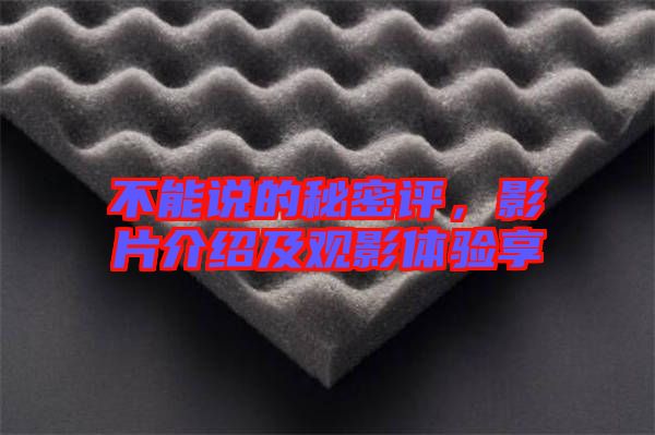 不能說(shuō)的秘密評(píng)，影片介紹及觀影體驗(yàn)享