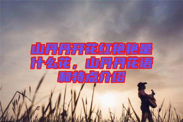 山丹丹開花紅艷艷是什么花，山丹丹花語和特點(diǎn)介紹