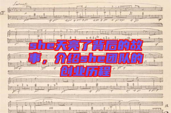 she天亮了背后的故事，介紹she團(tuán)隊(duì)的創(chuàng)業(yè)歷程