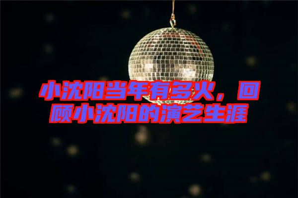 小沈陽當(dāng)年有多火，回顧小沈陽的演藝生涯