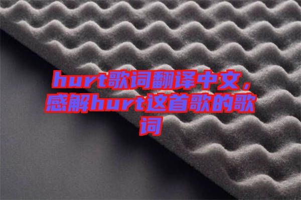 hurt歌詞翻譯中文，感解hurt這首歌的歌詞