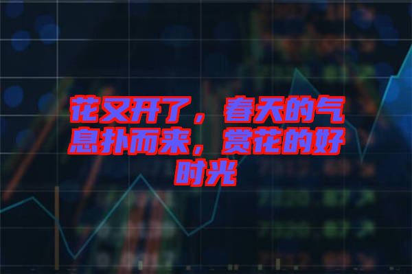 花又開了，春天的氣息撲而來，賞花的好時光
