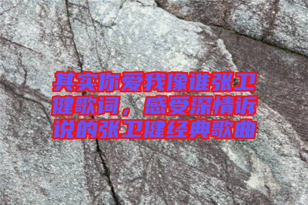 其實(shí)你愛我像誰張衛(wèi)健歌詞，感受深情訴說的張衛(wèi)健經(jīng)典歌曲