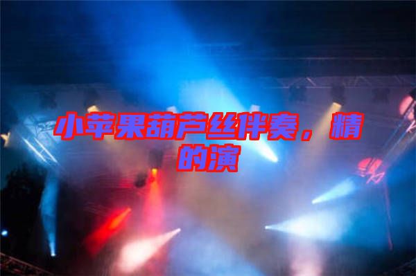 小蘋果葫蘆絲伴奏，精的演