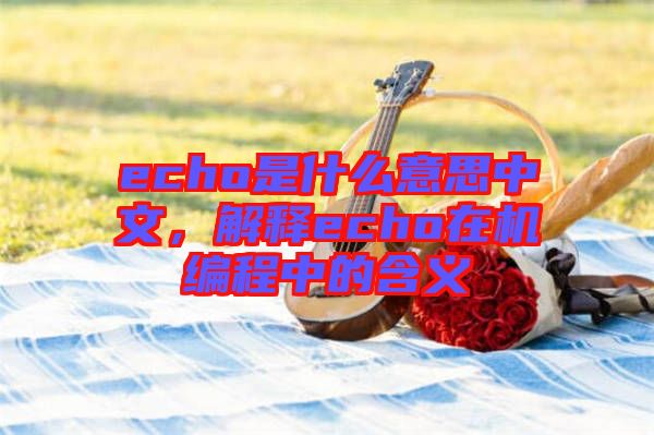 echo是什么意思中文，解釋echo在機編程中的含義