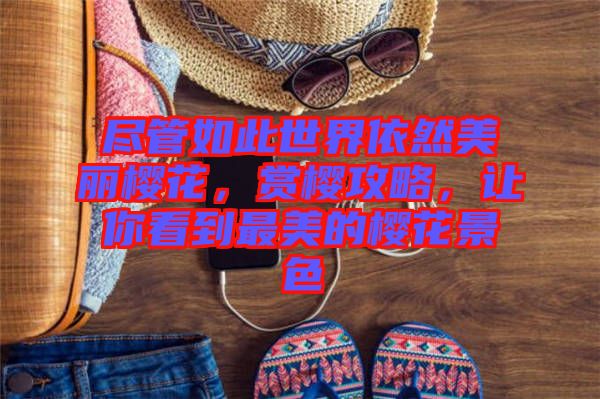 盡管如此世界依然美麗櫻花，賞櫻攻略，讓你看到最美的櫻花景色